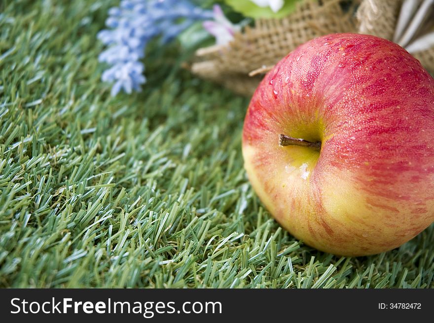 Close up apple on grass