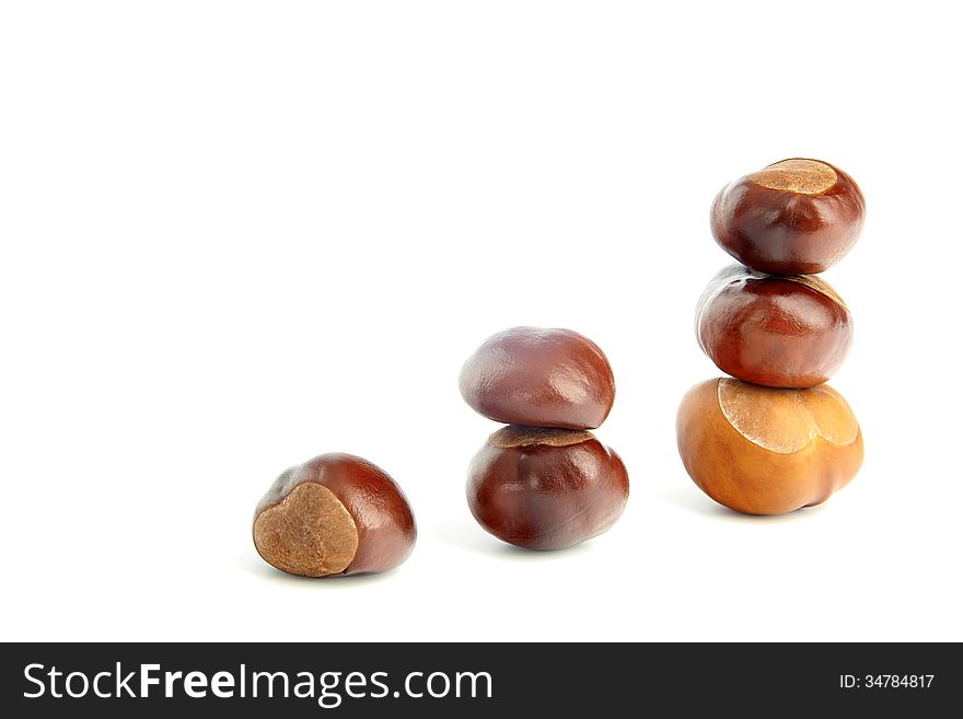 Group of chestnuts on a white background