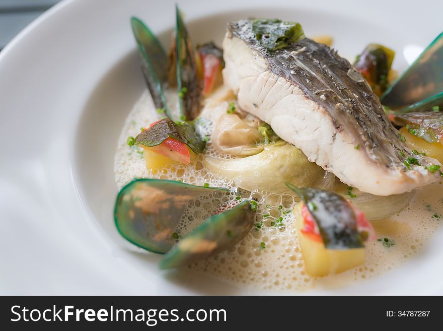 Steamed sea bass with mussels sauce. Steamed sea bass with mussels sauce