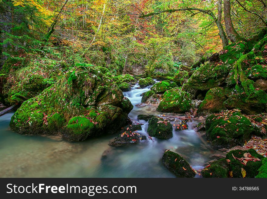 Creek Deep In Mountain Forest