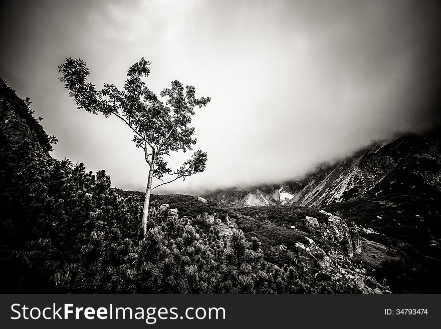 Beautiful Tatry mountains landscape in black and white