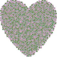 Flowers Heart Royalty Free Stock Photo Flowers Heart Royalty Free Stock Photo