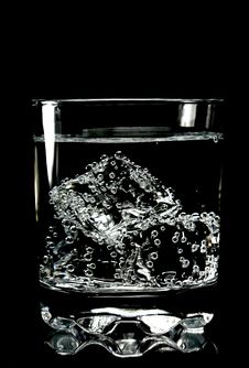 Ice Cubes In Glass Of Water Royalty Free Stock Photo