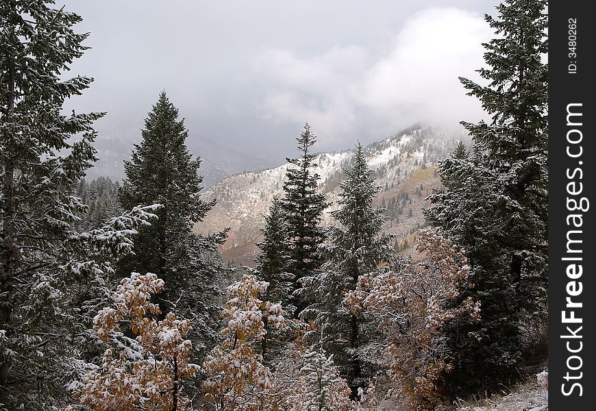 Early Autumn snow storm in the mountains. Early Autumn snow storm in the mountains