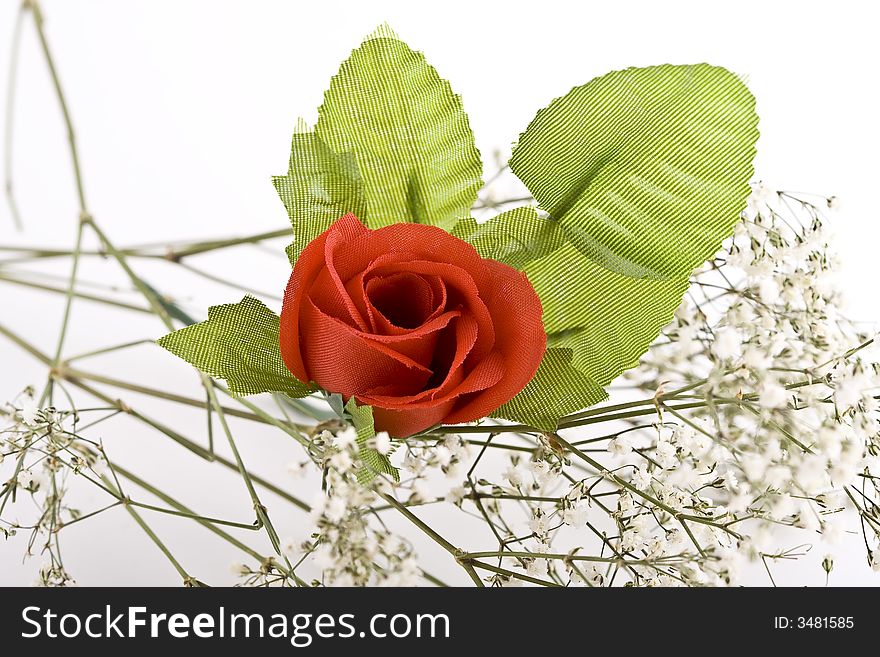 Composition with flowers on a light background.