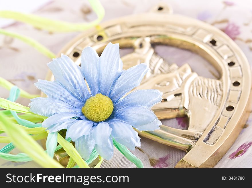 Shoot of nice abstract composition with flowers.