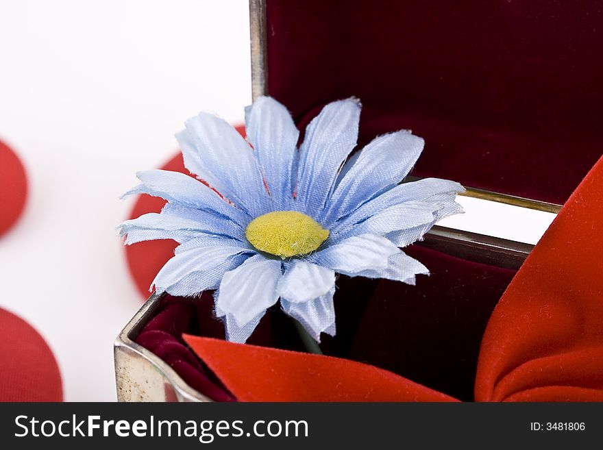 Shoot of nice abstract composition with flowers.