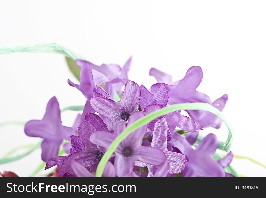 Shoot of nice abstract composition with flowers.