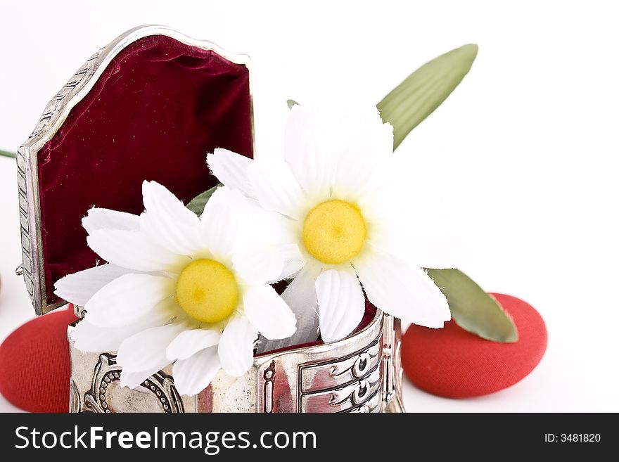 Shoot of nice abstract composition with flowers.