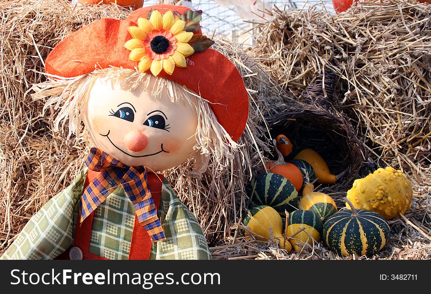 A scarecrow with gourds taken at a local farm.