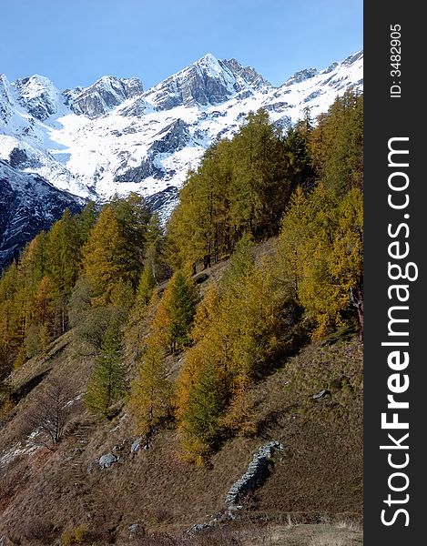 Mountain landscape in fall season; west alps Italy. Mountain landscape in fall season; west alps Italy