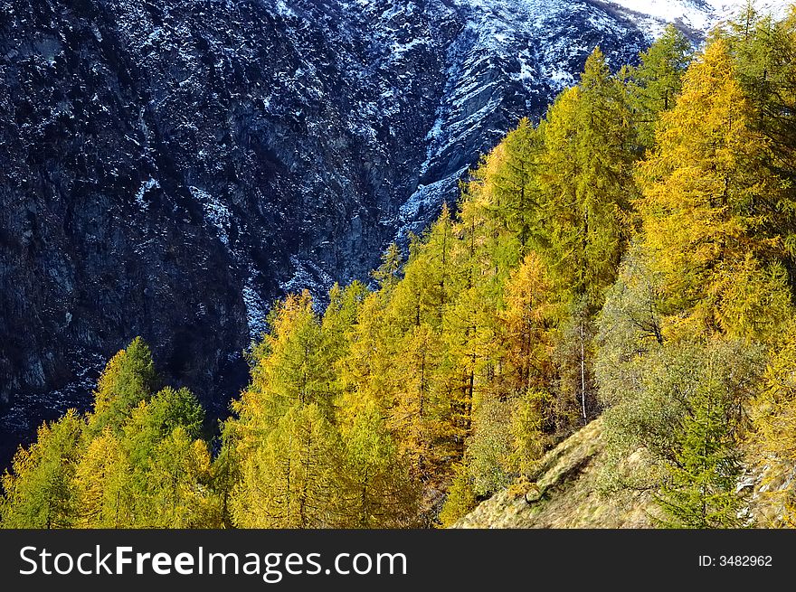 Changing colors in the Alps during early Fall; Italy. Changing colors in the Alps during early Fall; Italy.