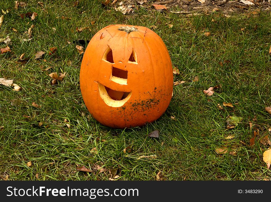 Range of emotions expressed in the pumpkin garden series-happy. Range of emotions expressed in the pumpkin garden series-happy