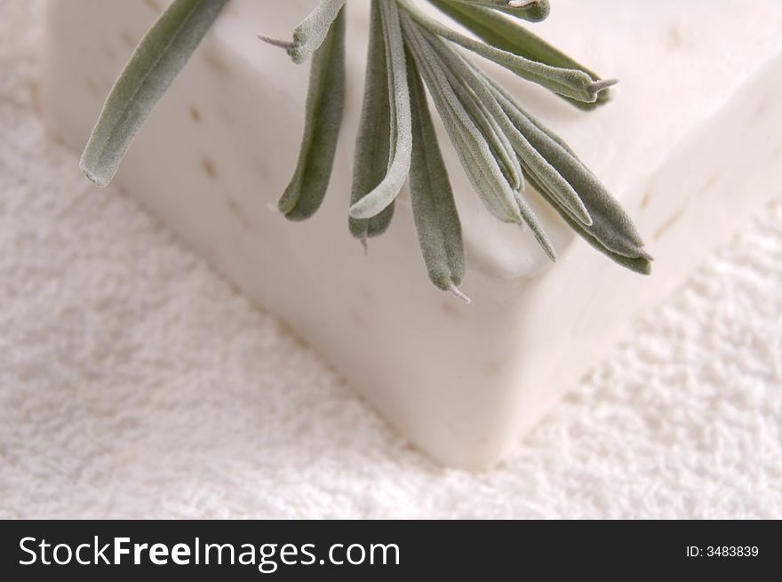Milk Soap And Fresh Herbs