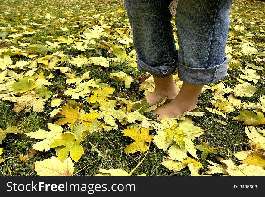 A view with bare feet resting on grass. A view with bare feet resting on grass