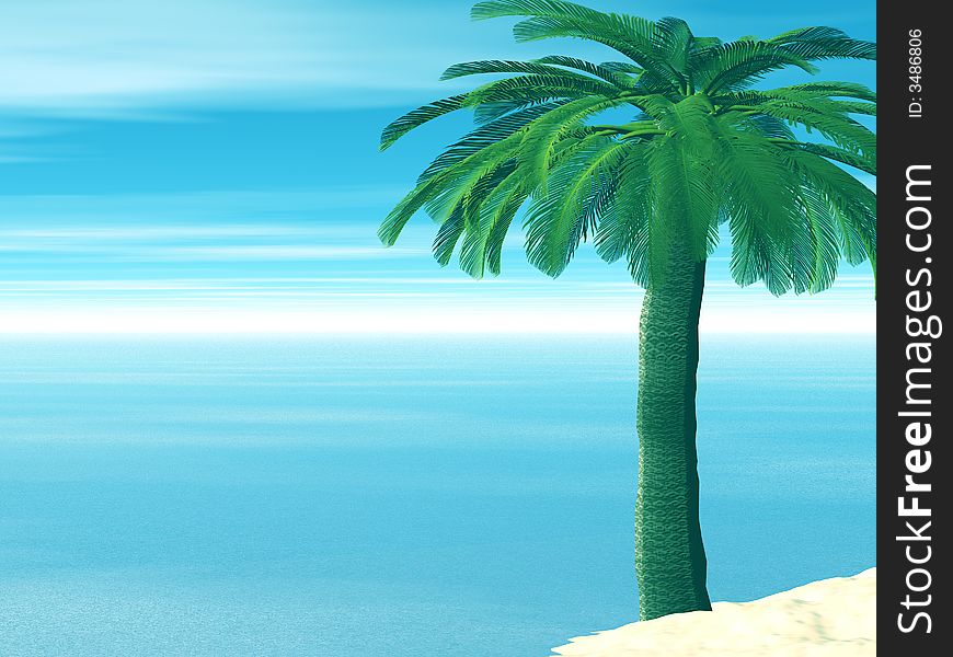 Beautiful landscape with palm tree