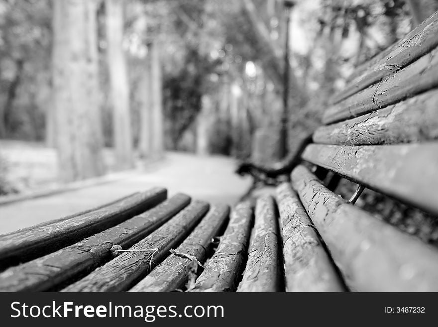 Black and white scene highly focused from Andalusian Park. Black and white scene highly focused from Andalusian Park