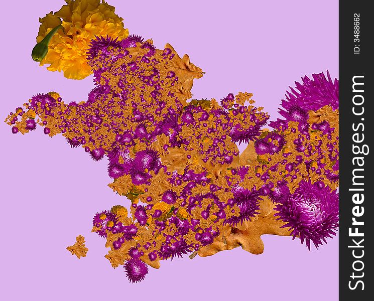 Abstract yellow oak leaf background. +violet and orange flower