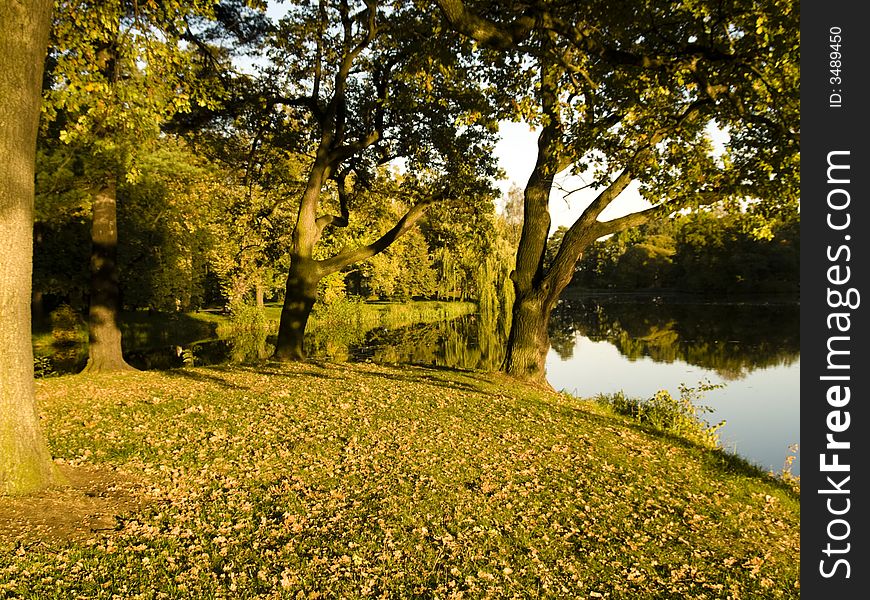 Picturesque autumn landscape of lake and bright trees and bushes. Picturesque autumn landscape of lake and bright trees and bushes