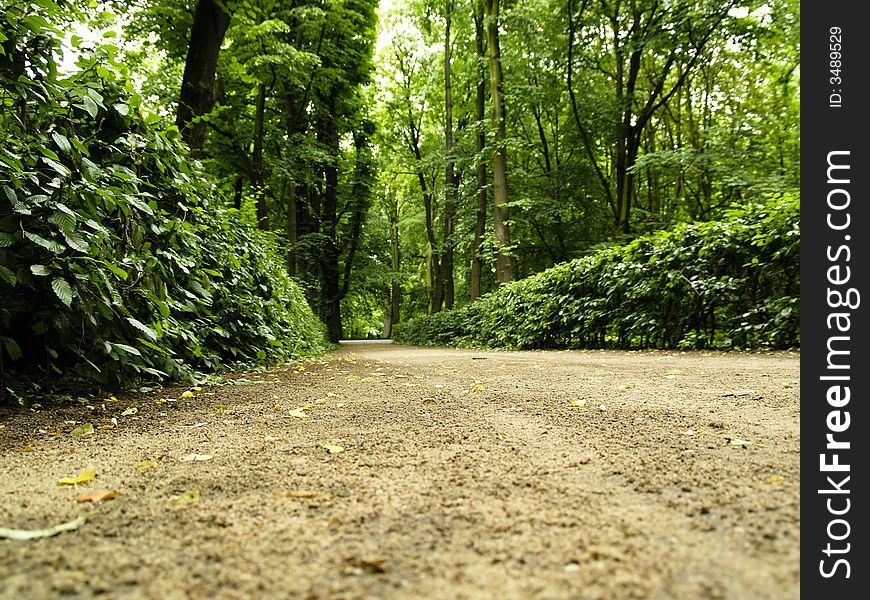 Path In Royal Park - Warsaw