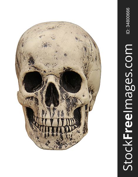 A Spooky Human Skull on a White Background. A Spooky Human Skull on a White Background.