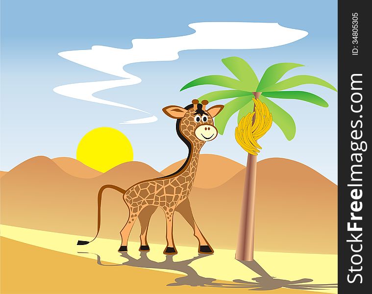 Giraffe in africa going to desert