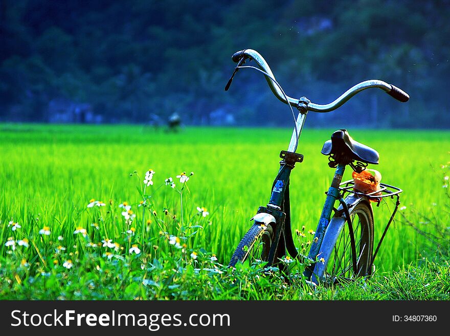 A bicycle on green fields in the sunset, taken in Central Vietnam