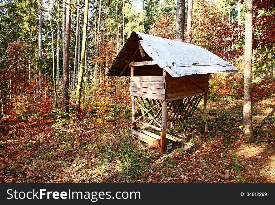 Shelter for animals in autumn forest. Shelter for animals in autumn forest