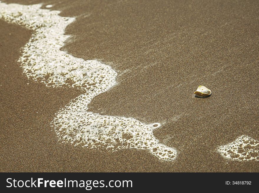 Sea Shell on the sandy beach with the leading line in the corner