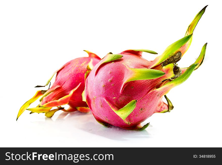 Many dragon fruit, These are Cactaceae type same cactus, Hylocereanae. Their scientific name is Hylocercus undatus (Haw) Brit. & Rose.