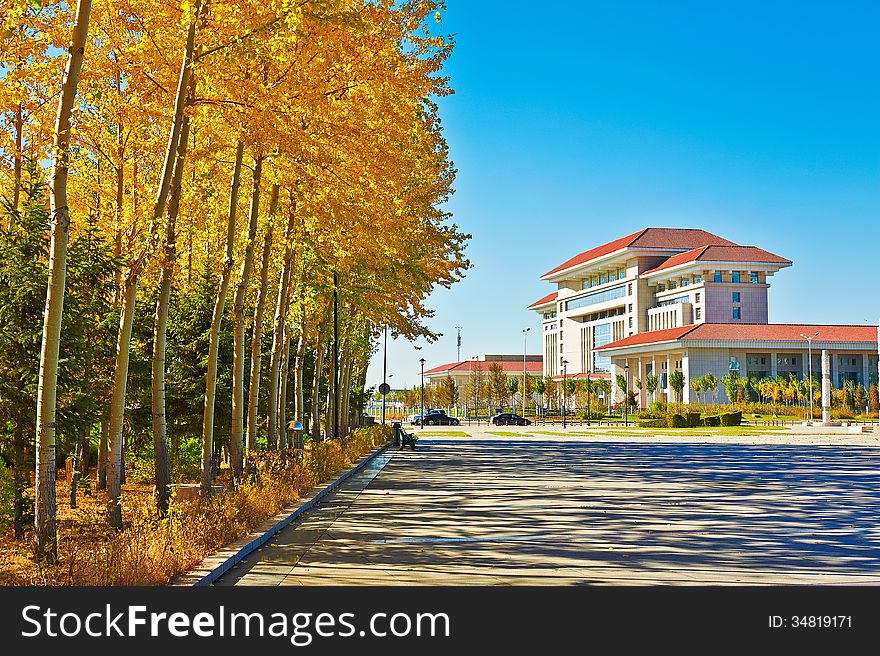 The Building And Gloden Leaves