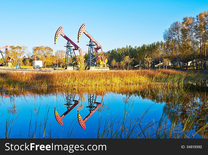 The photo taken in China's heilongjiang province daqing city,oil field ecology garden.The time is October 8, 2013. The photo taken in China's heilongjiang province daqing city,oil field ecology garden.The time is October 8, 2013.