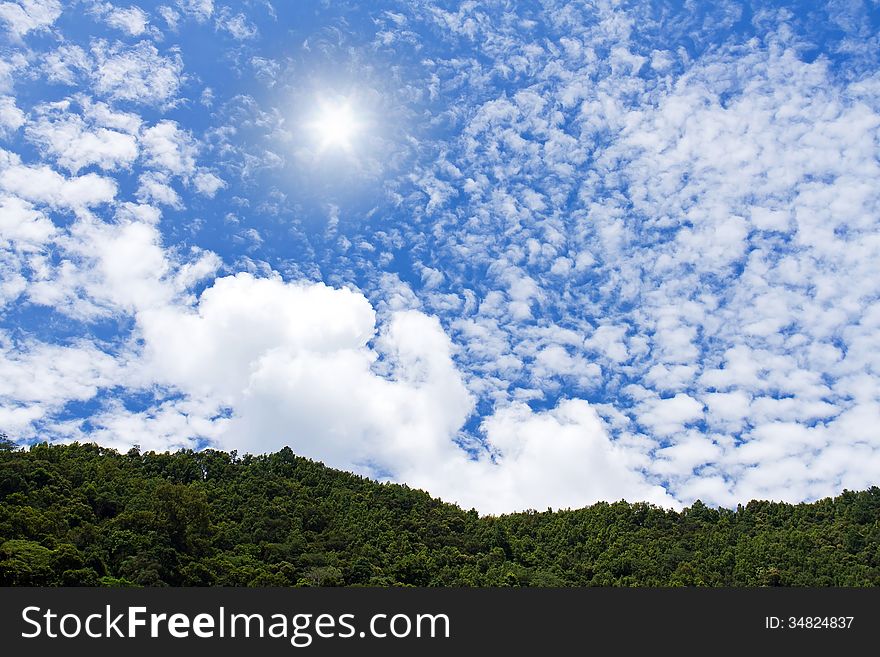 The sun and fluffy clouds over the forest. The sun and fluffy clouds over the forest