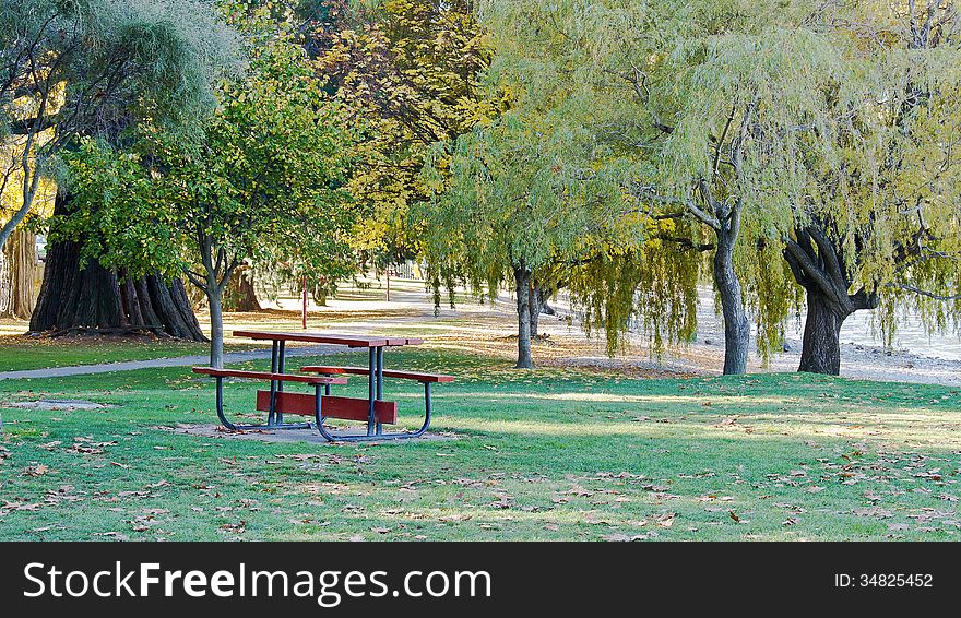 Wooden bench setting in the park autumn season