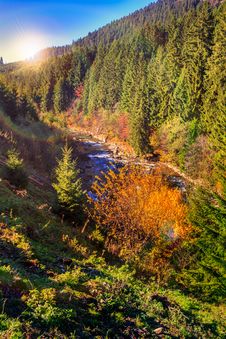 River Flows By Rocky Shore Near The Autumn Mountain Forest Stock Photography
