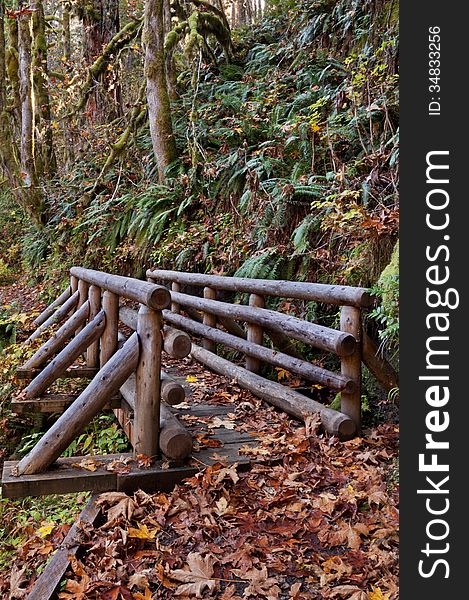Wooden bridge made out of wooden logs on nature trail in mountains. Wooden bridge made out of wooden logs on nature trail in mountains.