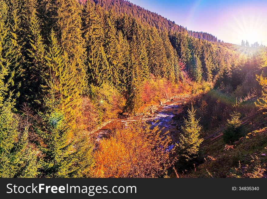Autumn landscape. rocky shore of the river that flows near the pine forest at the foot of the mountain. Autumn landscape. rocky shore of the river that flows near the pine forest at the foot of the mountain.