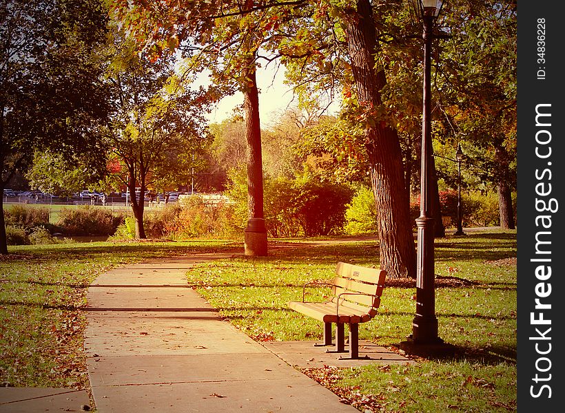 Autumn scene in the park