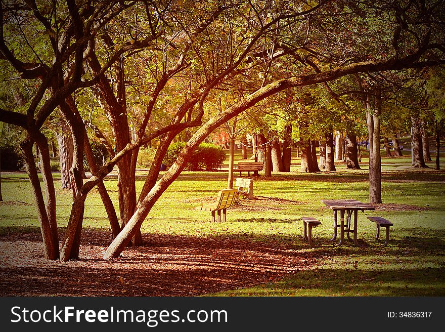 Autumn scene in the park