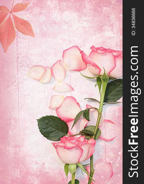 Old grungy background with lovely pink roses