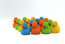 Colorful Flock Of Ducklings Stock Photography