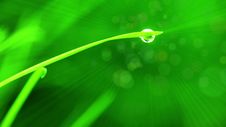 A Drop Of Water On A Blade Of Grass. Rays And Particles Royalty Free Stock Photography