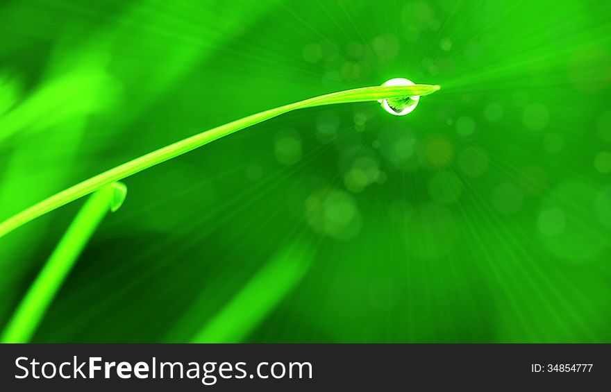 A drop of water on a blade of grass. Rays and particles