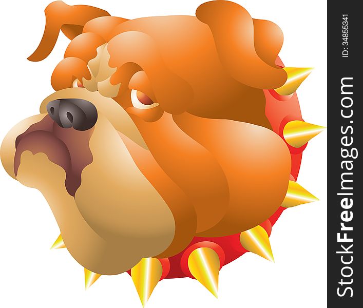 Orange bulldog head isolated illustration