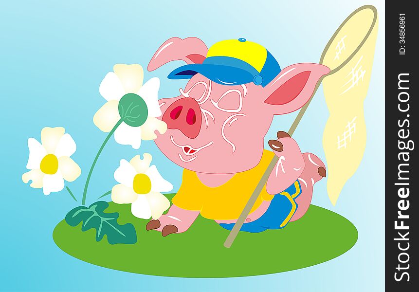 Pig on the nature of flowers rests near. Pig on the nature of flowers rests near
