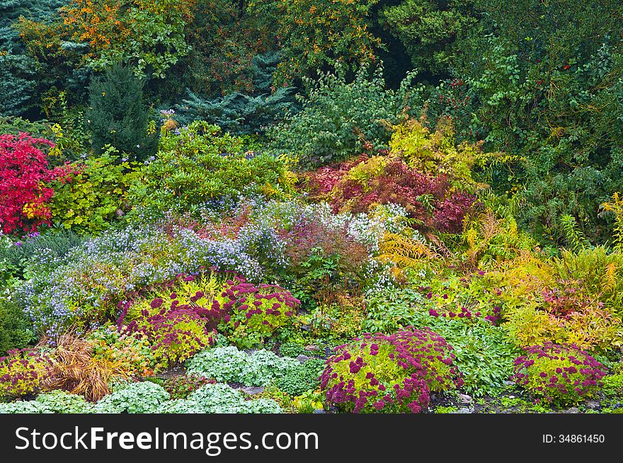 Garden with flowers in autumn colors