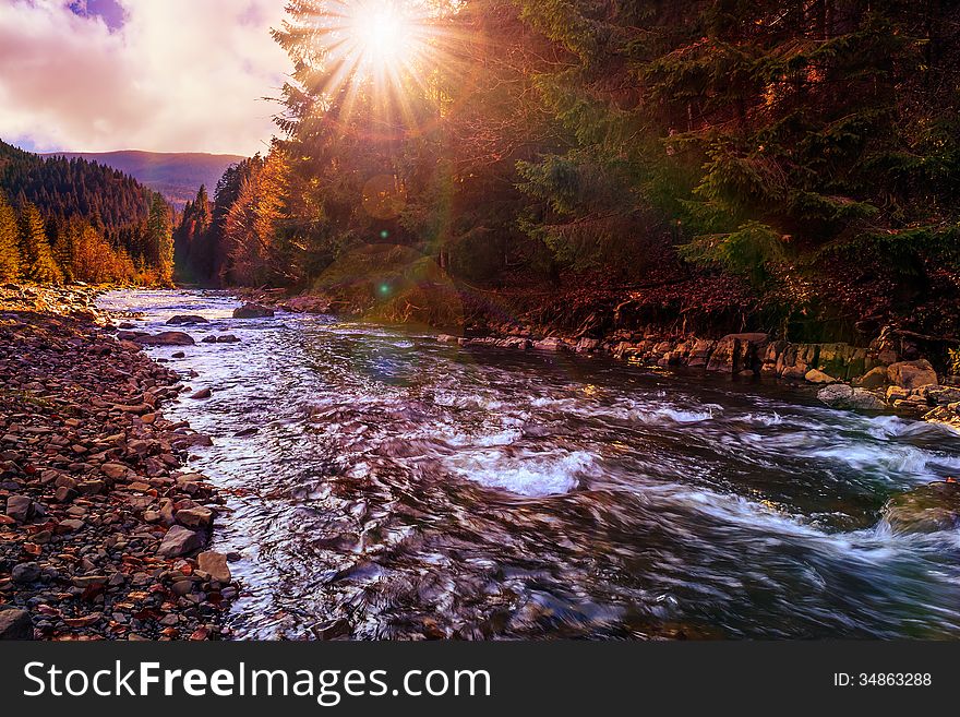 Autumn landscape. rocky shore of the river that flows near the pine forest at the foot of the mountain. Autumn landscape. rocky shore of the river that flows near the pine forest at the foot of the mountain.