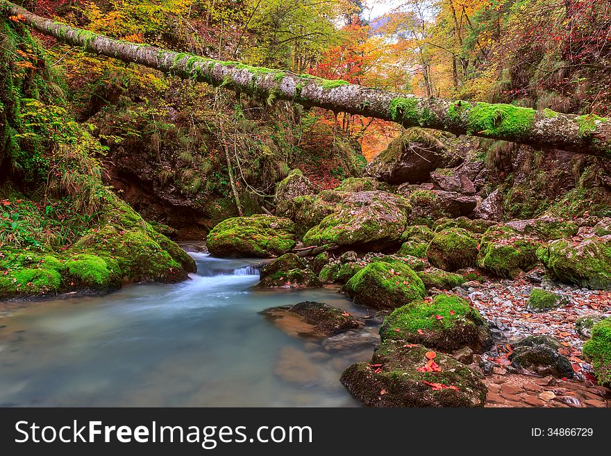 Creek deep in mountain forest in Transylvania