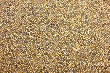 Small Stone Royalty Free Stock Images Small Stone Royalty Free Stock Images