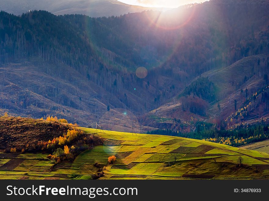 Autumn Hillside With Red And Yellow Forest